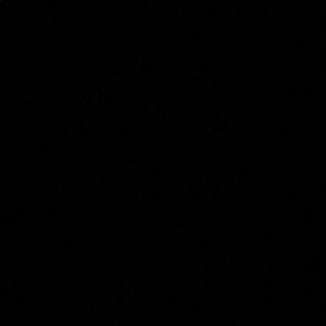 Meet your Posher, Ella